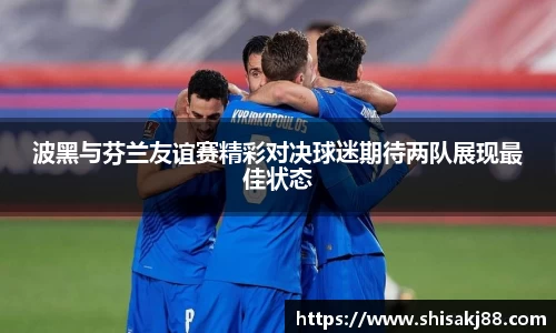 波黑与芬兰友谊赛精彩对决球迷期待两队展现最佳状态