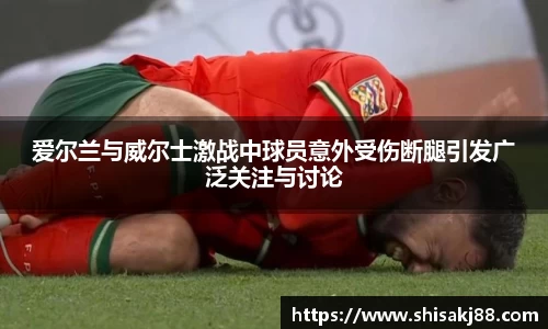 爱尔兰与威尔士激战中球员意外受伤断腿引发广泛关注与讨论